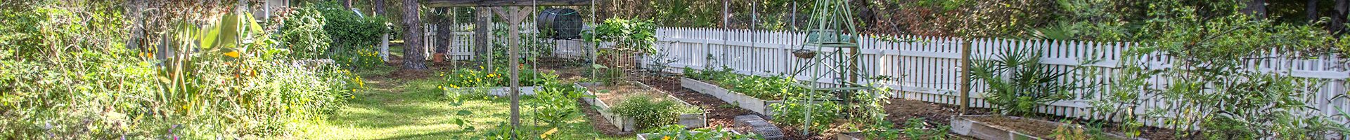 Monthly Gardening Guide