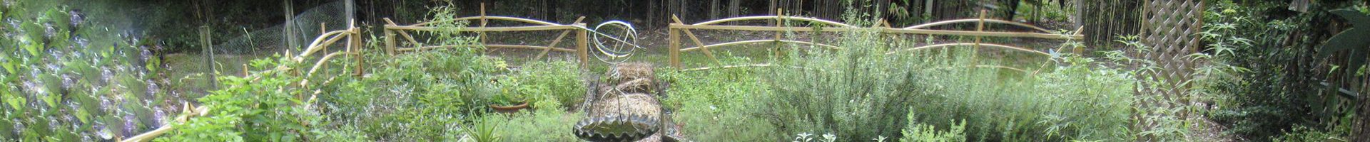 The Herb Garden